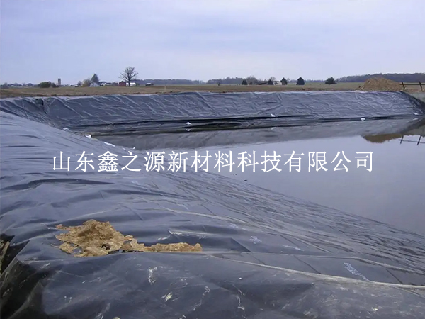 養(yǎng)殖防滲膜施工固定新法：簡約高效，守護生態(tài)養(yǎng)殖