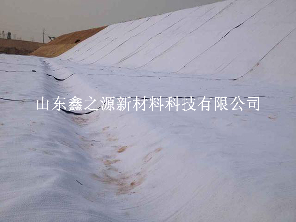 守護養(yǎng)殖基業(yè)，揭秘防滲膜防老化新策略
