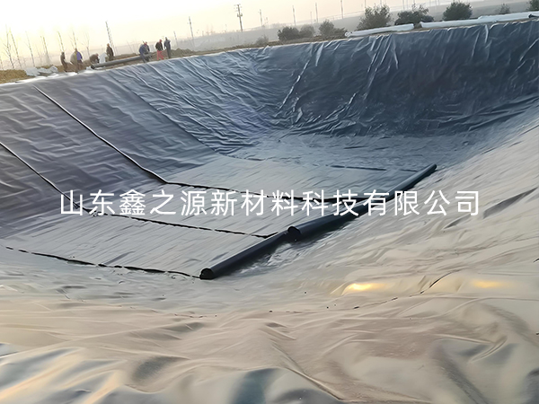 選擇防滲土工膜進行小龍蝦養(yǎng)殖有哪些要點技巧？